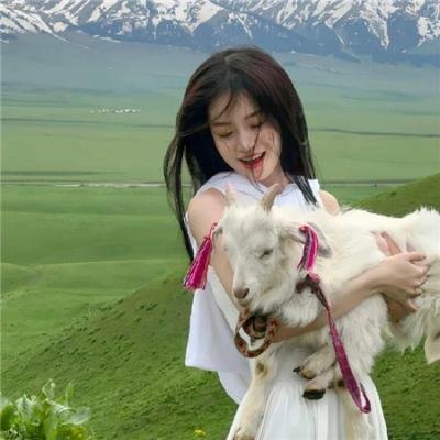 可爱的小农场
